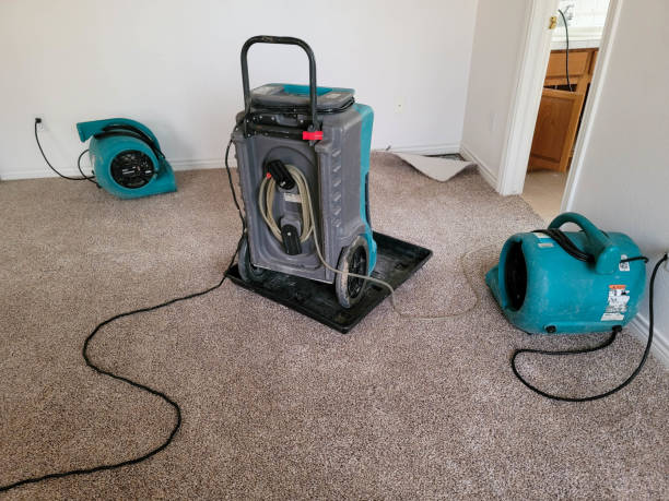 Best Ceiling water damage repair  in Silverdale, WA