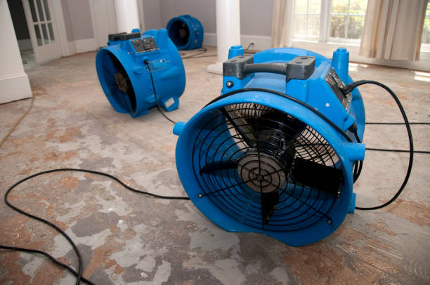 Best Water damage restoration services  in Silverdale, WA