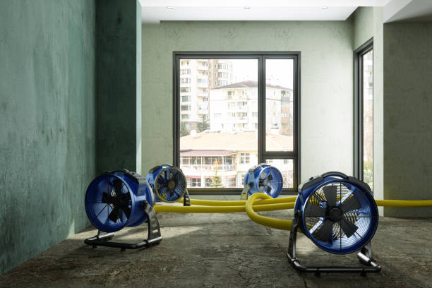 Best Fire Damage Restoration  in Silverdale, WA